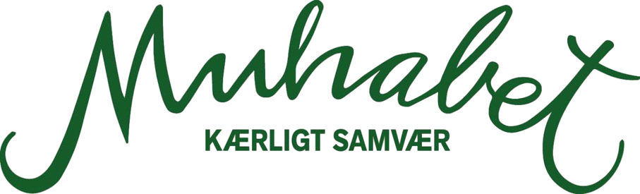 Besøg DSI Muhabet